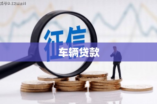 治多车辆贷款